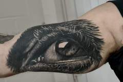 eye