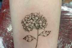 taylor-riddles-tattoo11